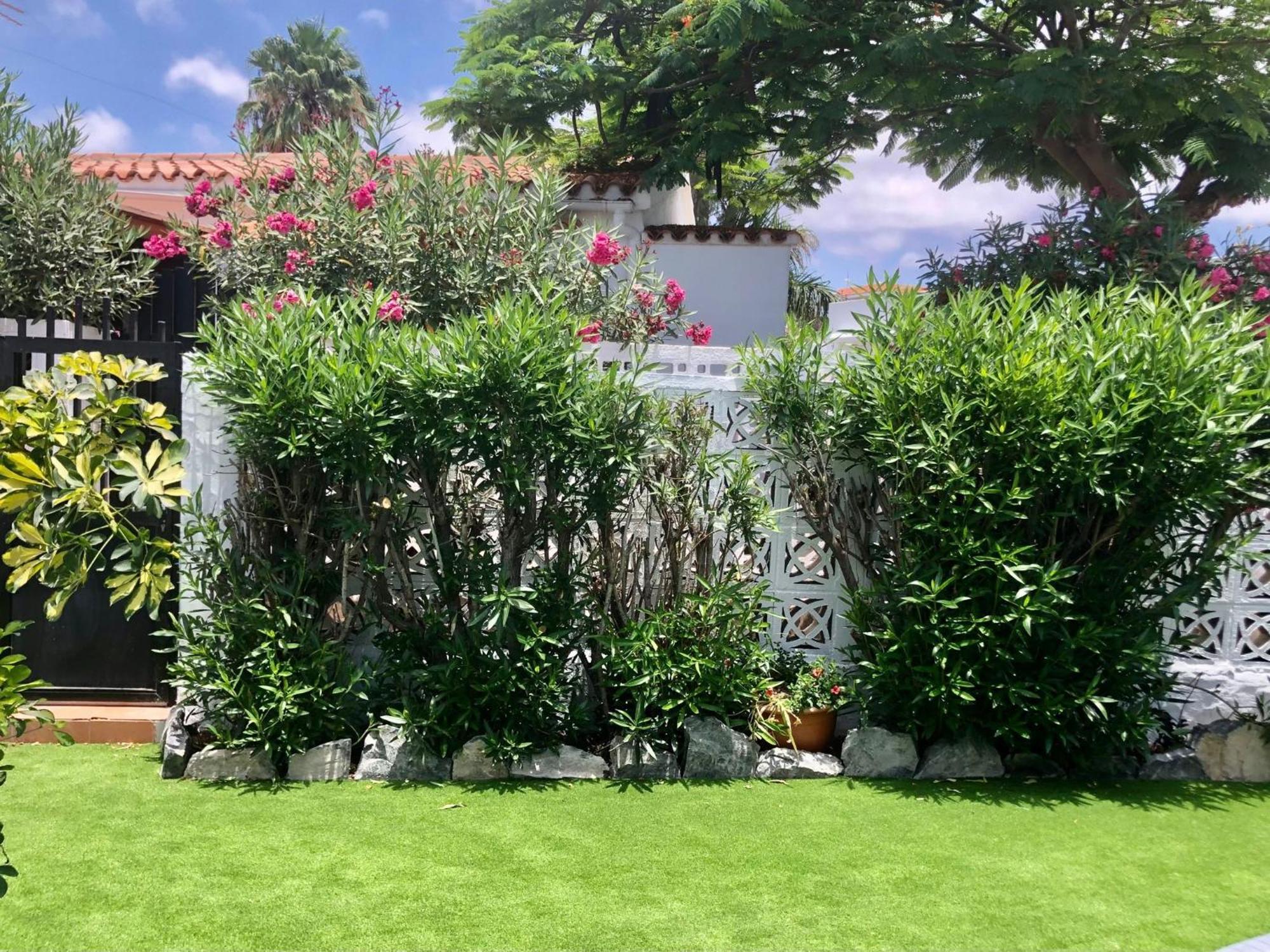 Santa Clara Bungalows Maspalomas  Buitenkant foto